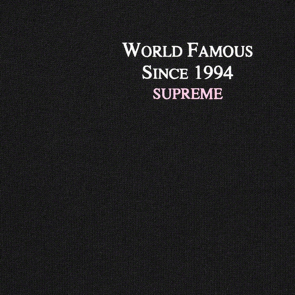 World Famous Micro Hooded Sweatshirt view 3